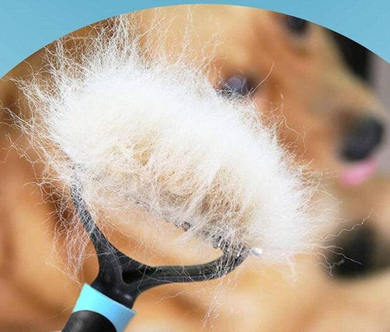 Escova Remove Pelos Profissional